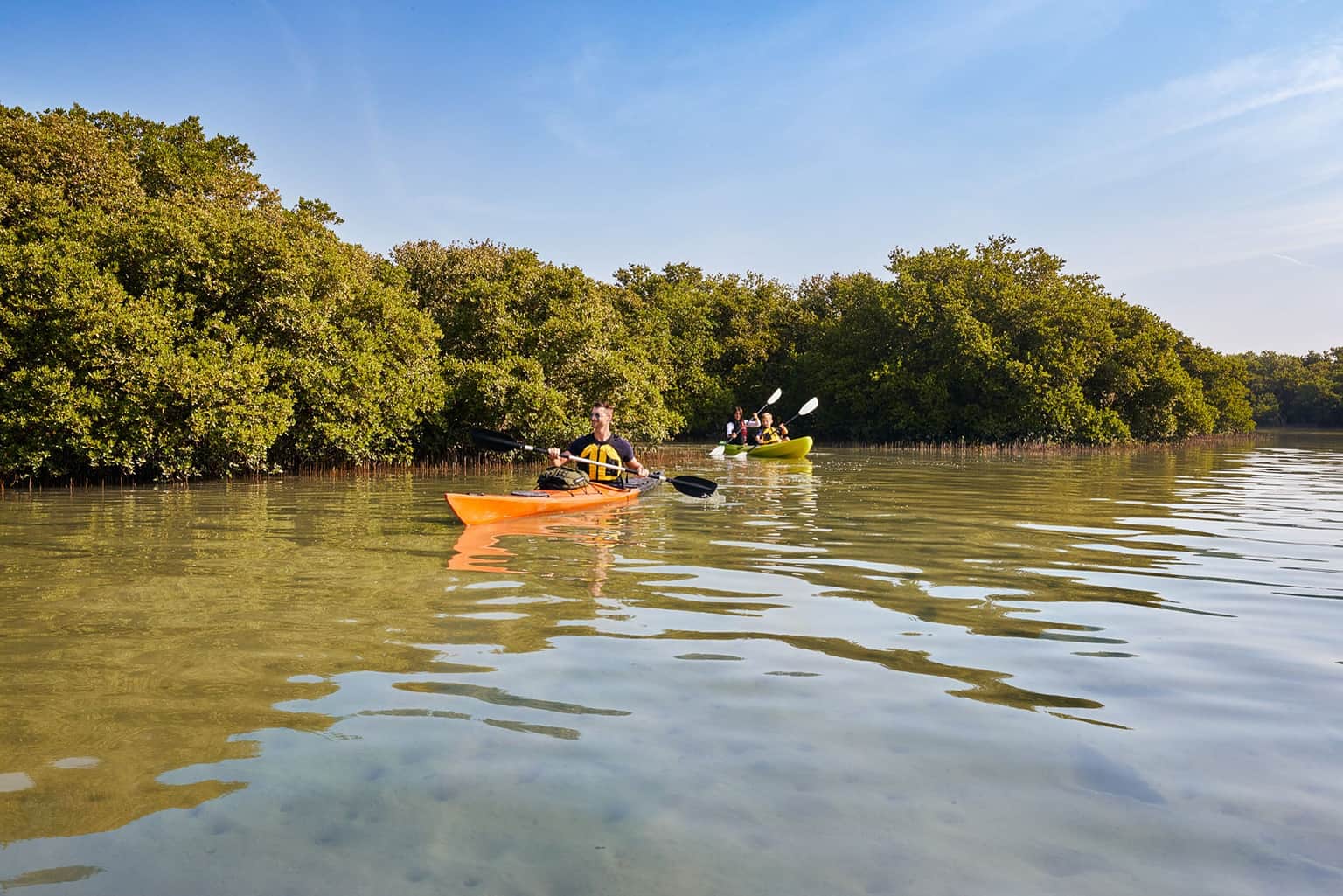 Al Thakira Mangroves