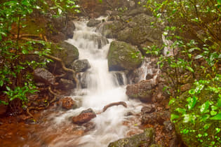 E4zpgq0z6sbsbe6hhrii59w2ouzv 1592664366 shutterstock 510046039