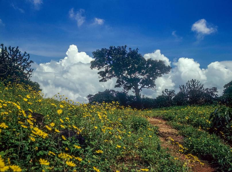 Harishchandragad Trek Image