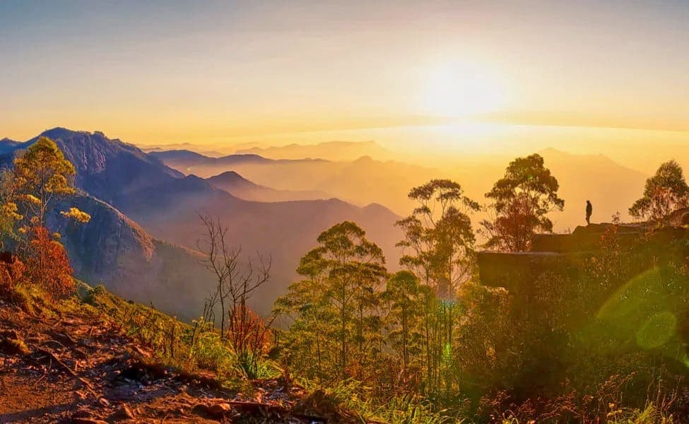 Ooty Family Tour Package for 2 Days Image