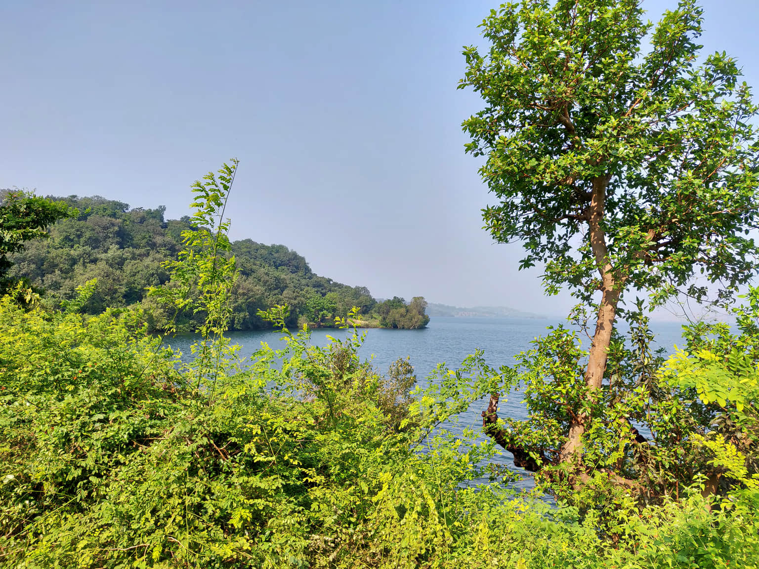 Photo from Dhiren Dedhia's trip