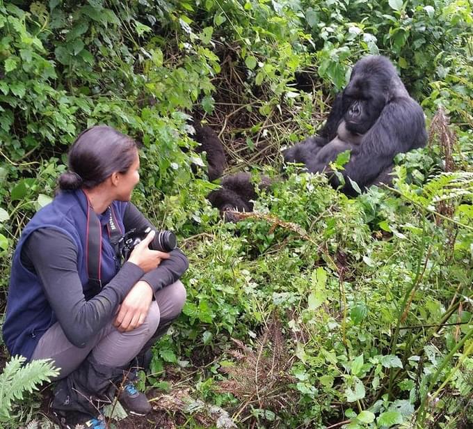 Go Mountain Gorilla Trekking