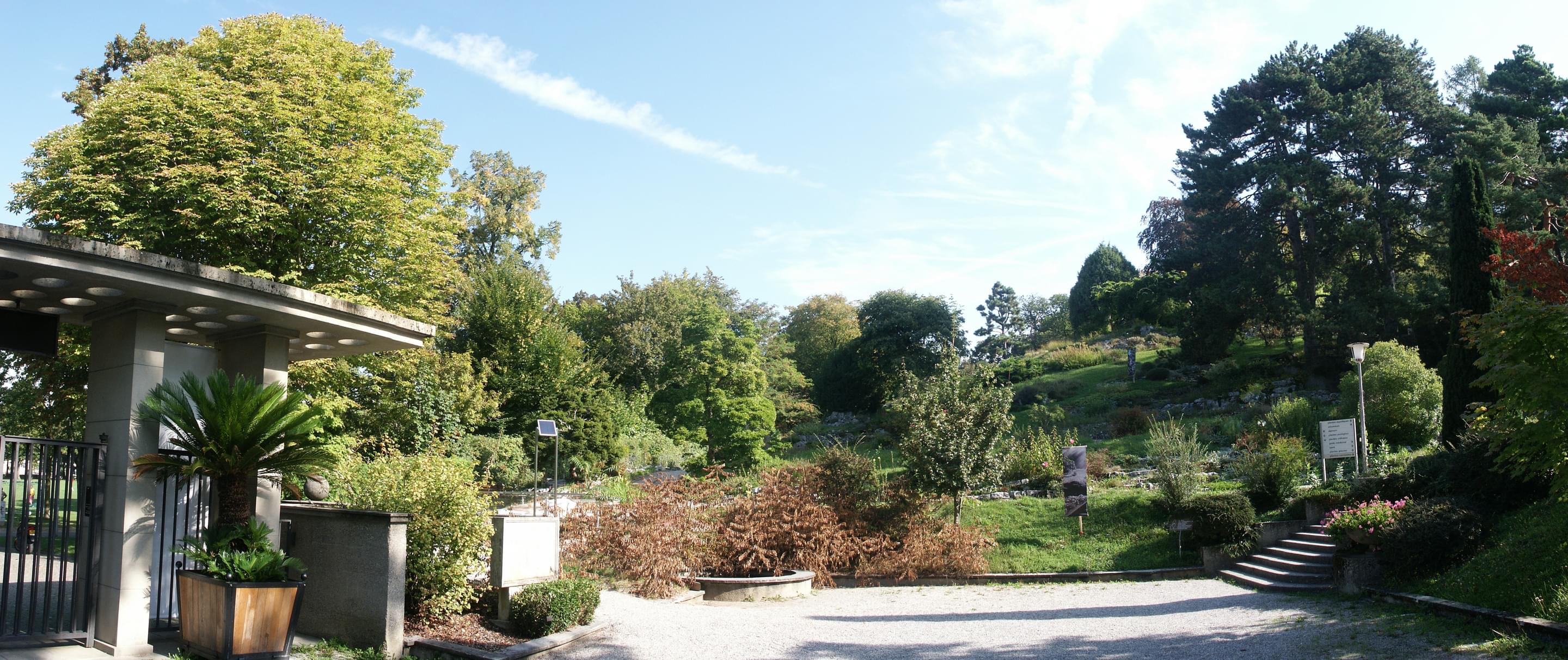 Jardin Botanique Overview