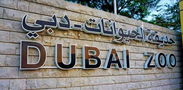 Dubai Zoo (Dubai Safari Park)