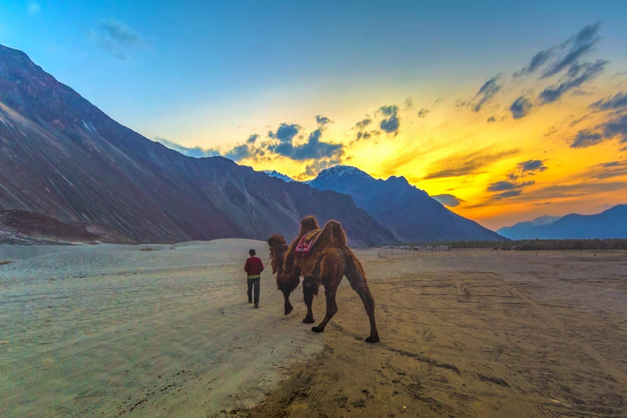 Thrilling Leh Ladakh | With Flights Included Image