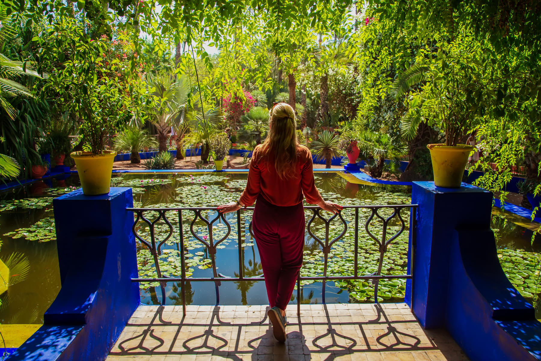 Welcome to the beautiful Jardin Majorelle