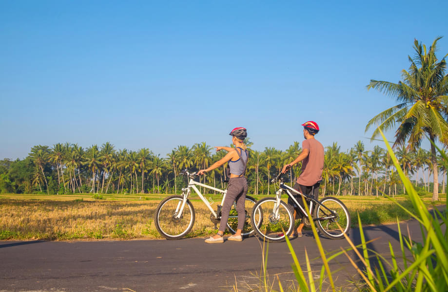 Cycling and 4wd in Munduk Langki in Bali Image