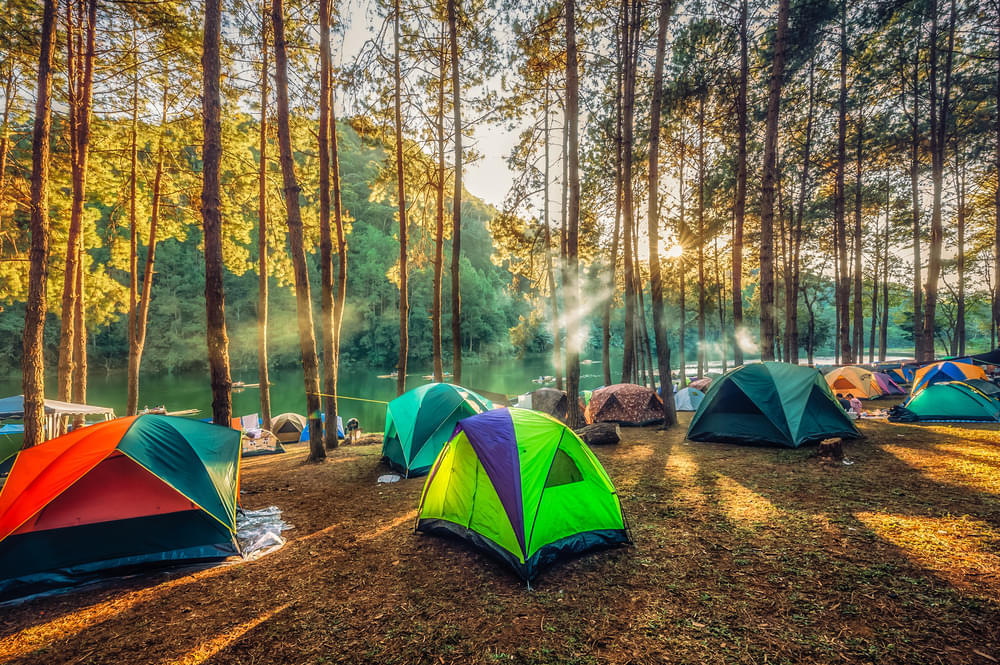 Wilderness Camping in Madhya Pradesh