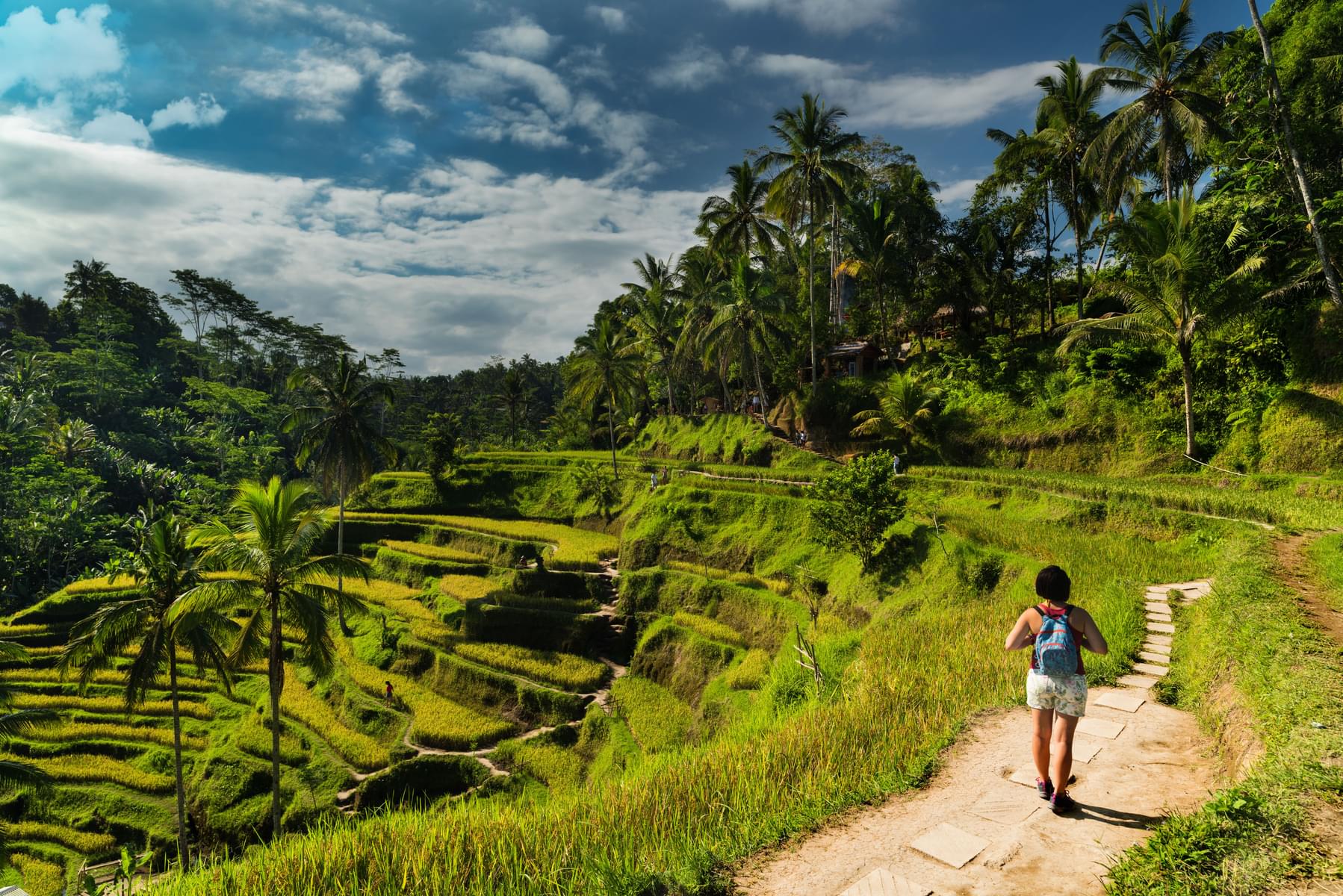Explore the Tegalalang Rice Terrace