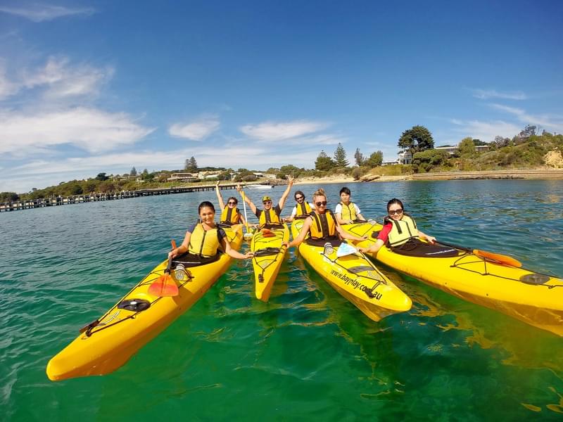Sea Kayak Tour In Melbourne Image