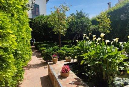 COURTYARD OF THE ORANGE TREES