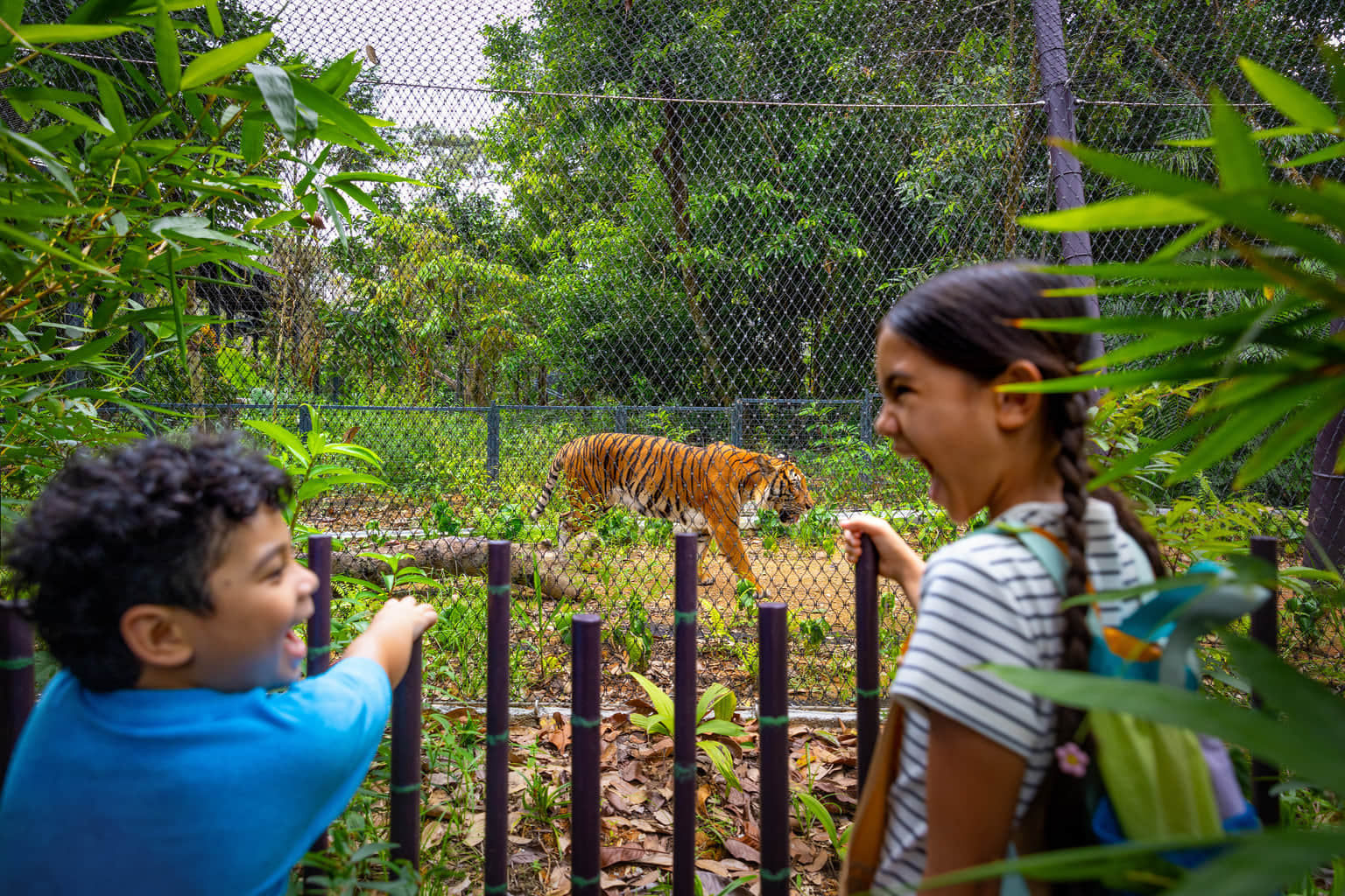 Visit Rainforest Wild ASIA in Singapore