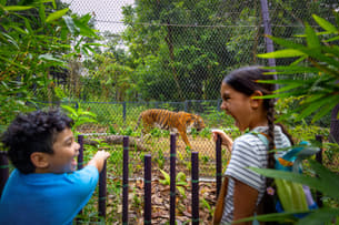 Rainforest Wild ASIA Tickets | Mandai Wildlife Reserve
