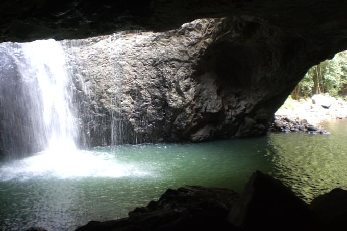 Springbrook National Park Walks