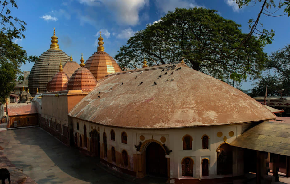 Scooty Rental in Guwahati Image