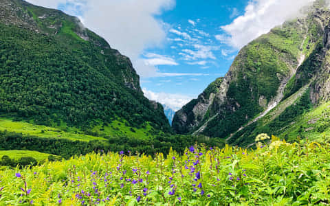 Trekking in Chamoli