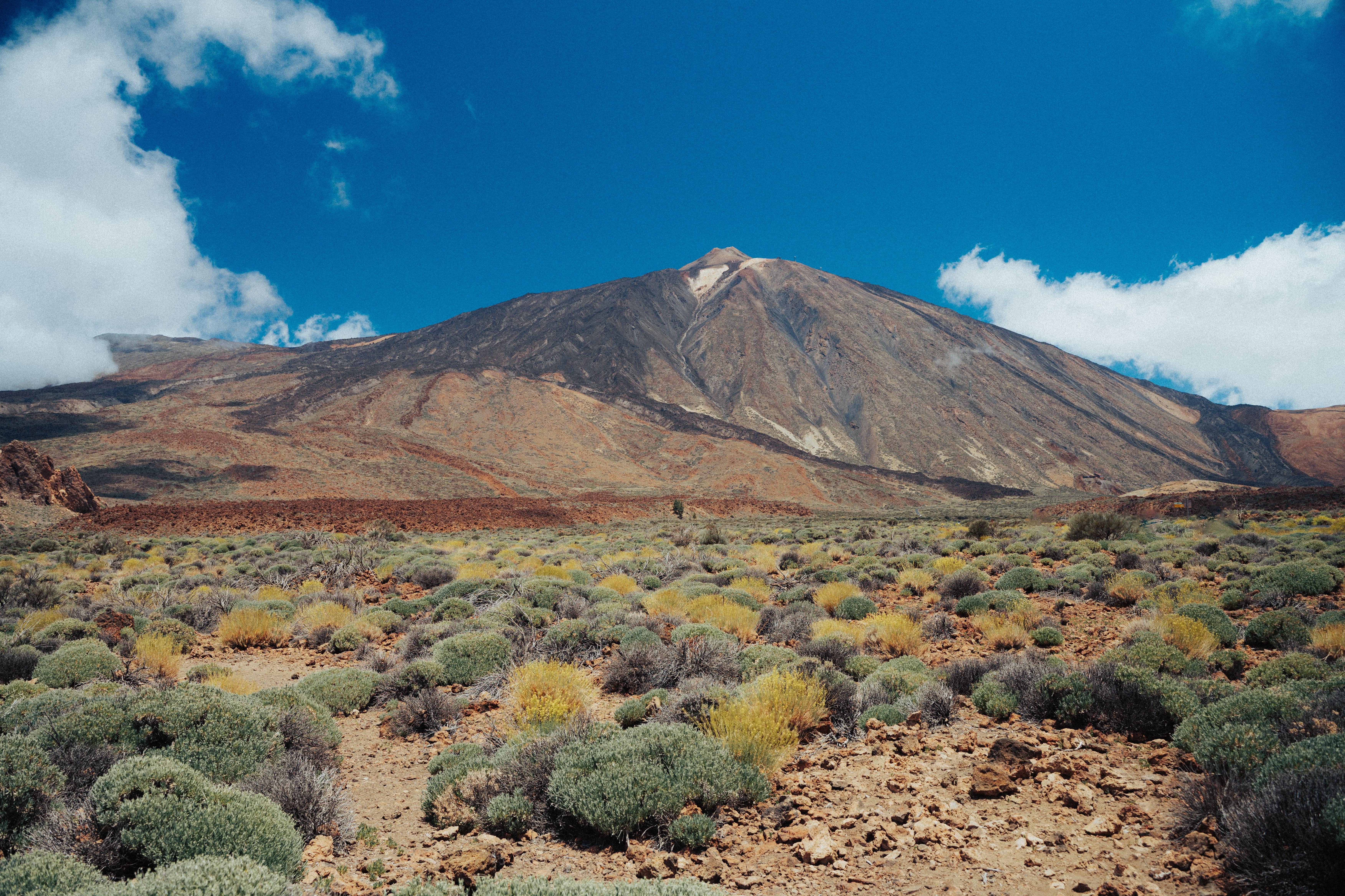 Teide Volcano Tours