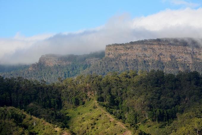 Lamington National Park