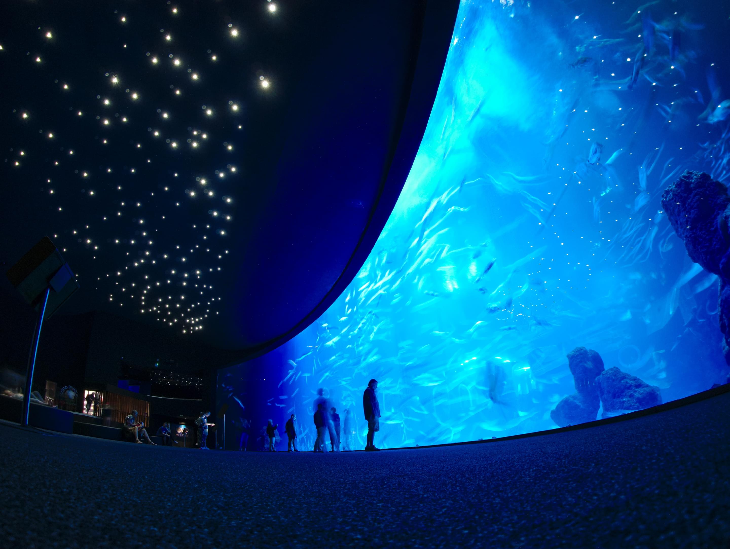 Poema del Mar Aquarium Overview