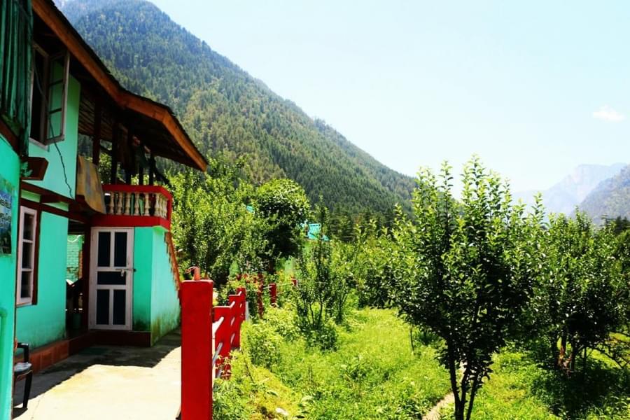 A Hill View Homestay Amidst the Dense Deodar Forest of Kasol Image