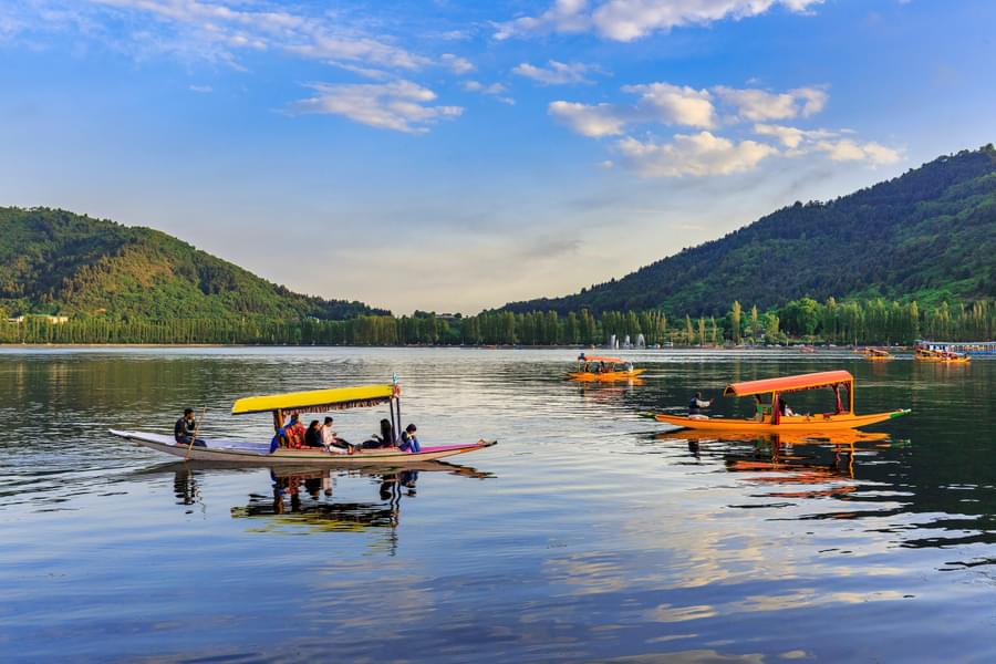 Shikara Ride on Dal Lake in Srinagar Image