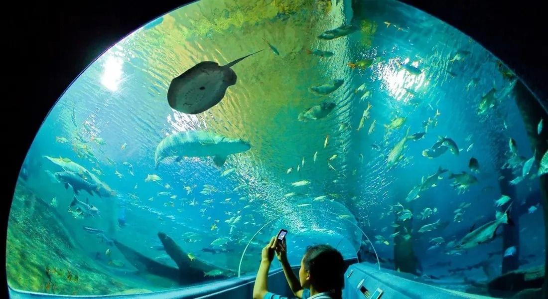 Chiang Mai Aquarium Tickets