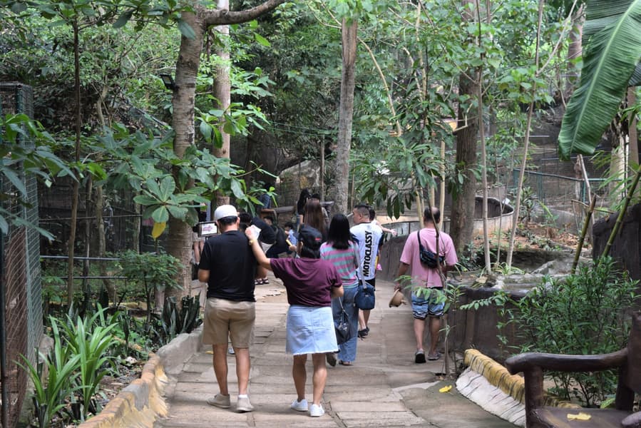 Zoobic Safari Tickets Image