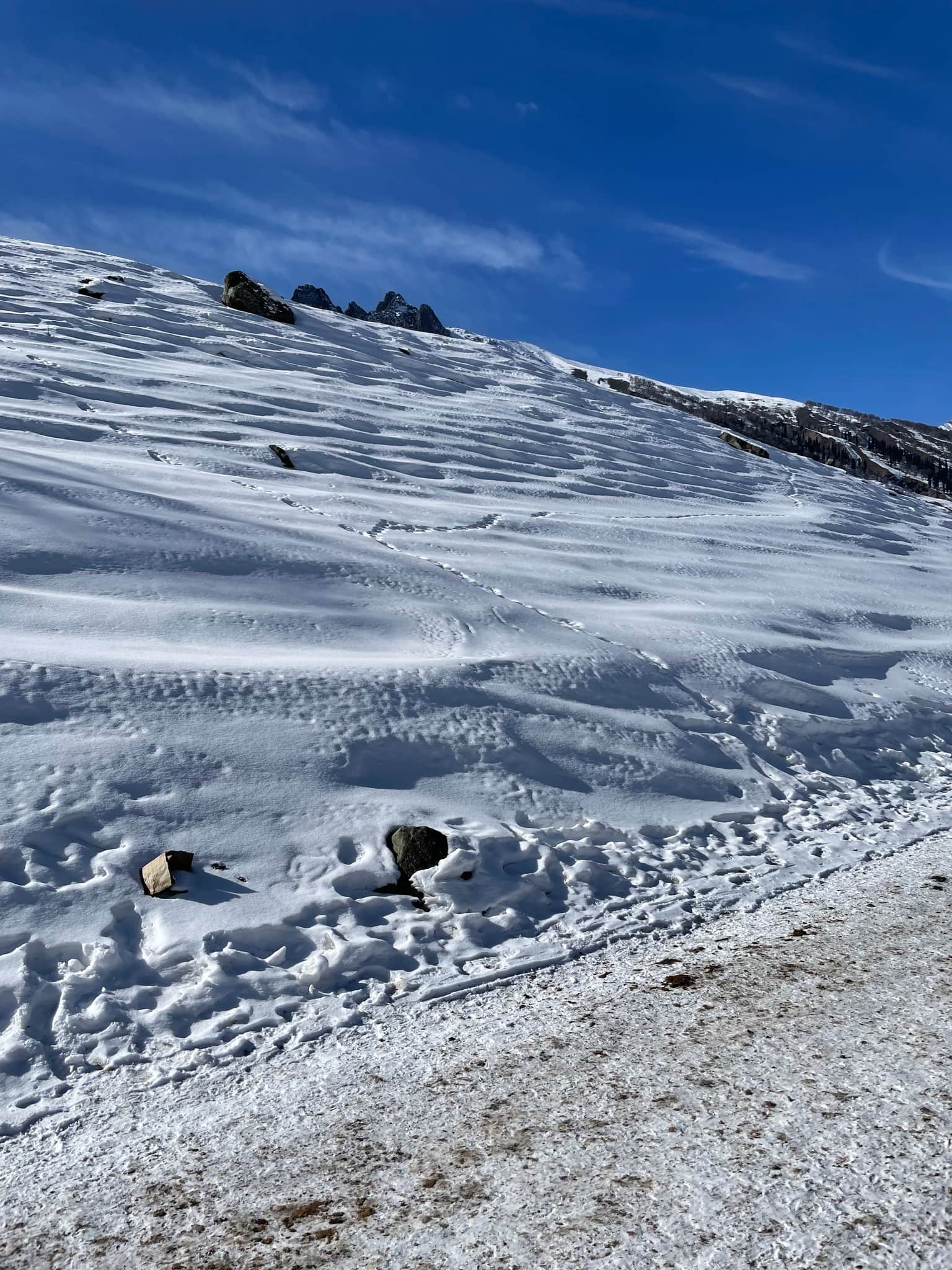 Photo from Aravind  M's trip