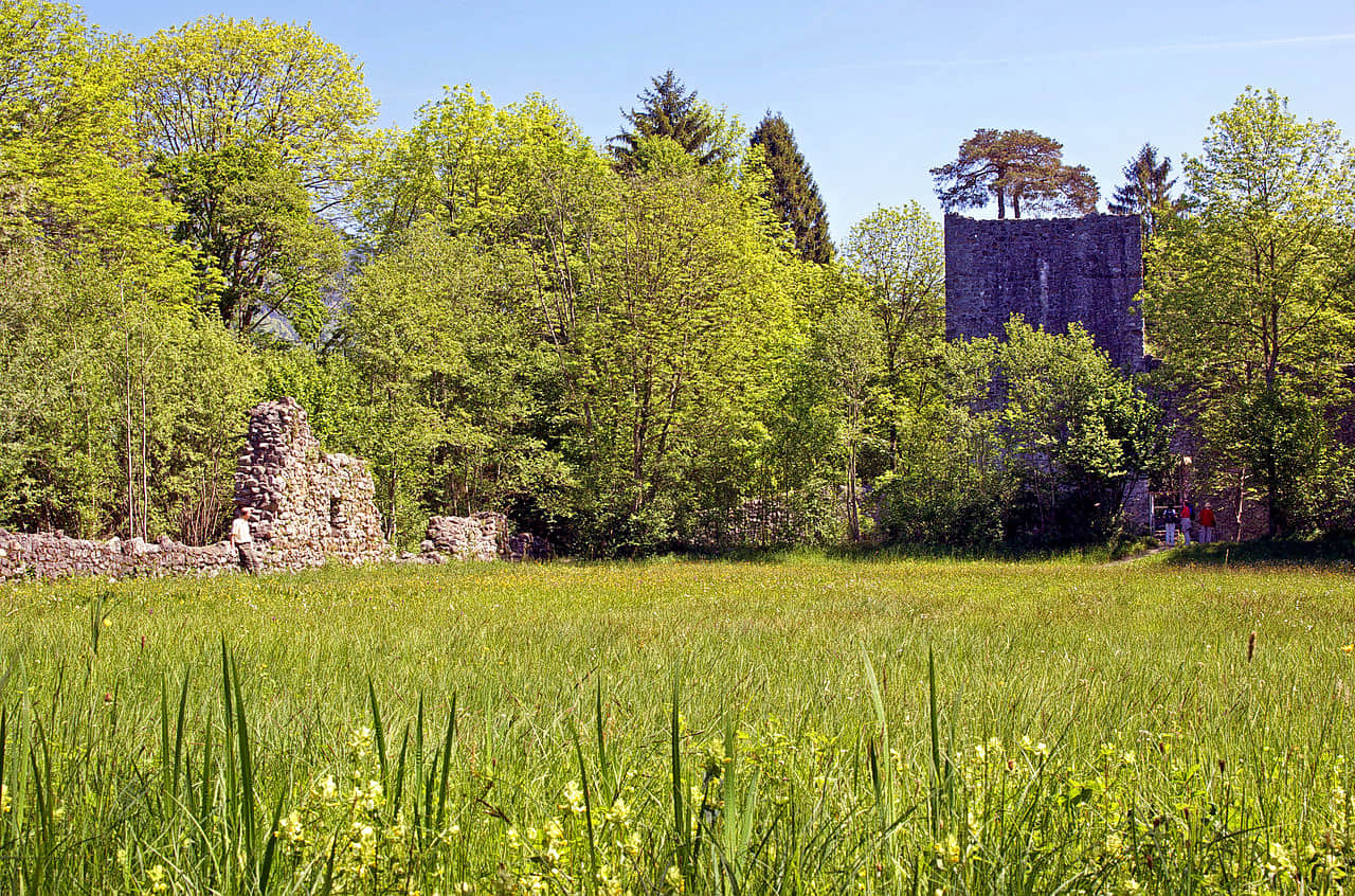 Weissenau Castle