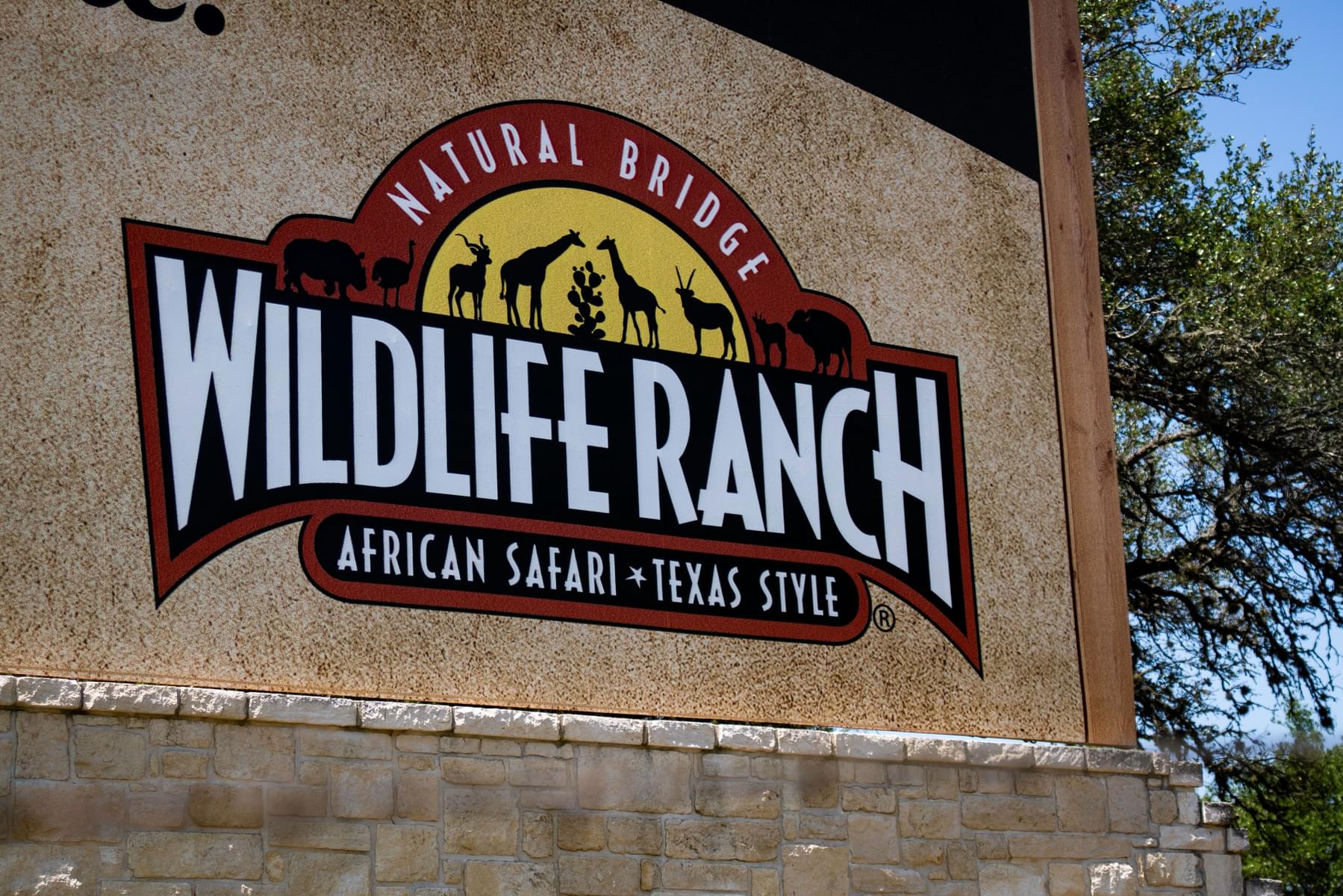 Visit Natural Bridge Wildlife Ranch