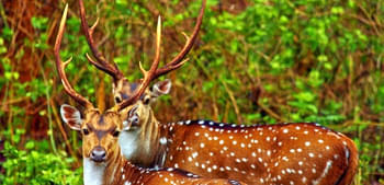 Ee9g61we2p6r3mpm16dpdq2dxdci 5873684923 3e4cfeda66 o.jpg