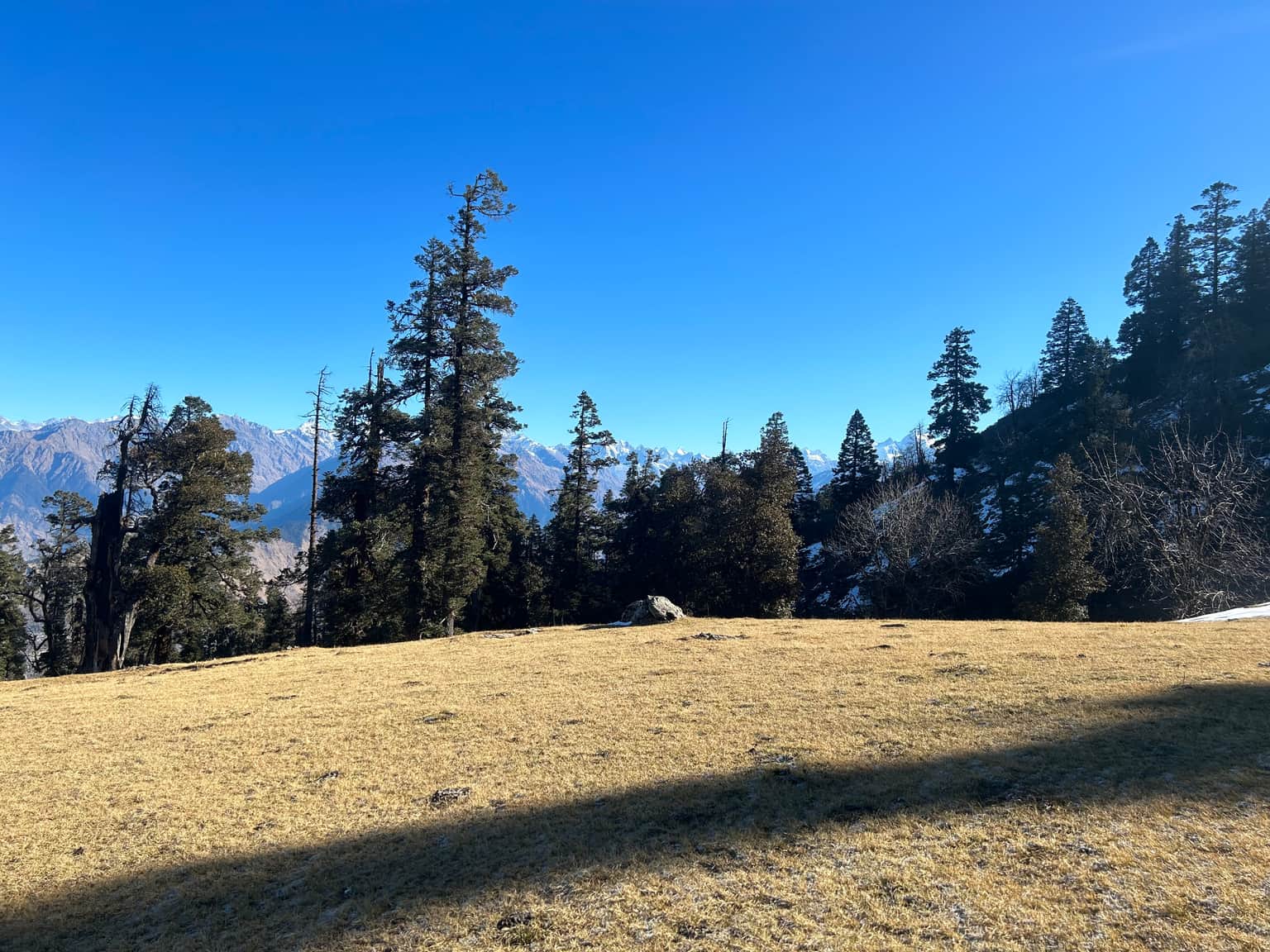 Photo from Avinash 's trip
