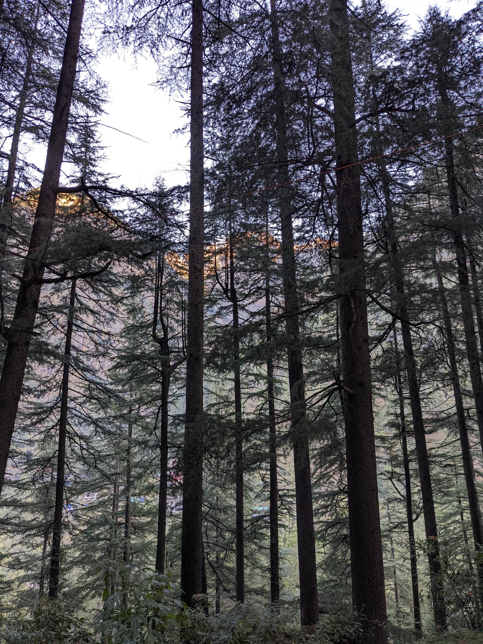 Photo from Aagya  Tiwari's trip