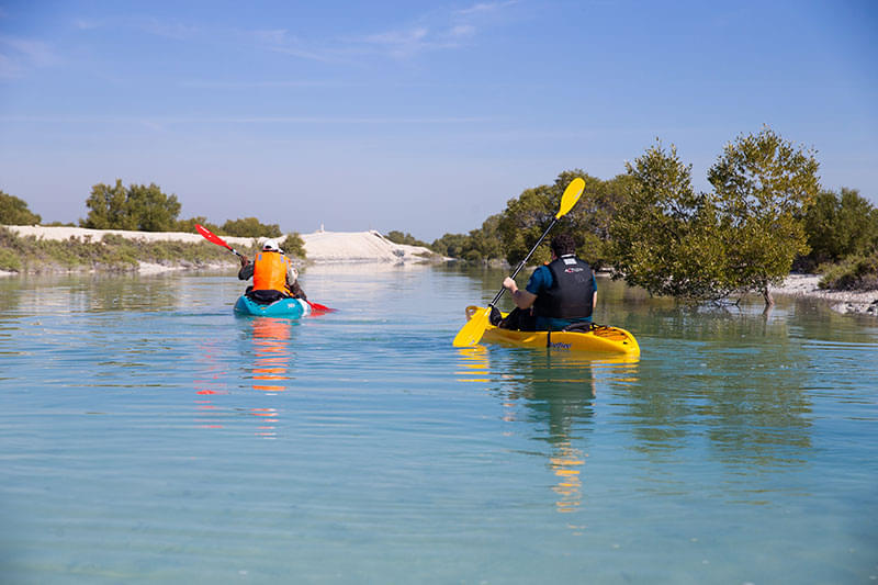 Experience Jubail Mangrove Park Kayaking in Abu Dhabi