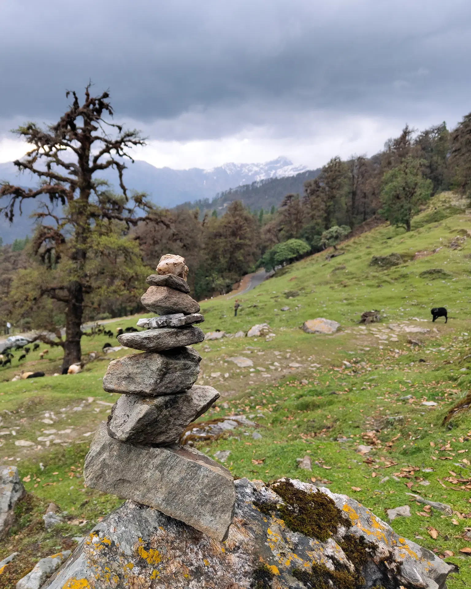 Photo from Aman  Aman 's trip