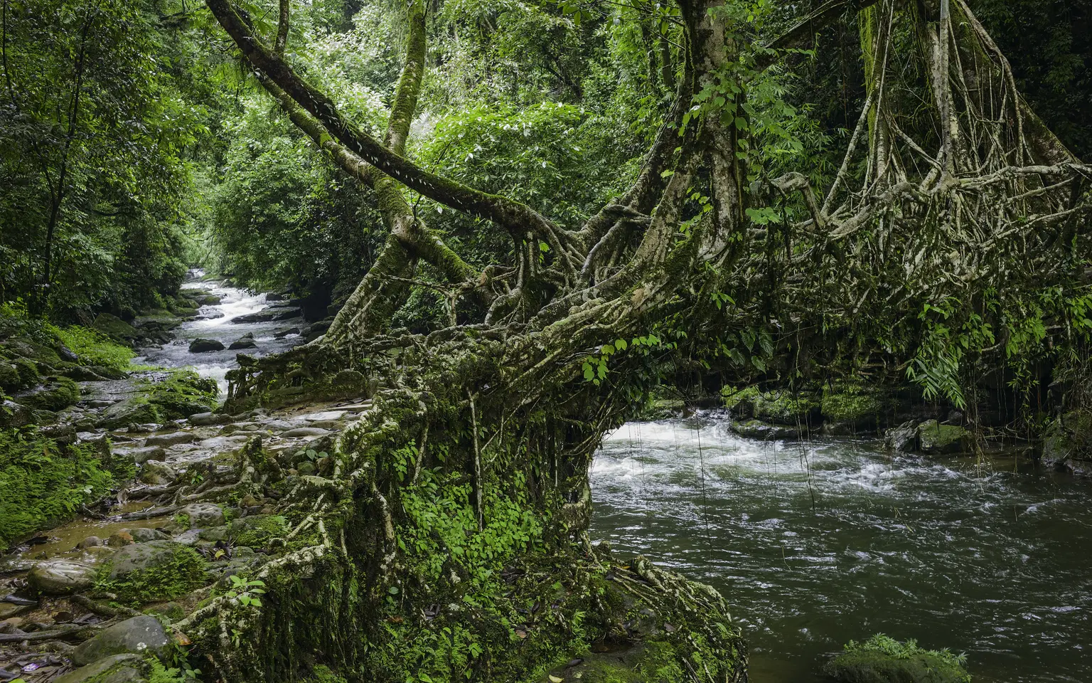 <em>Shillong</em> Tour Packages From Chandigarh
