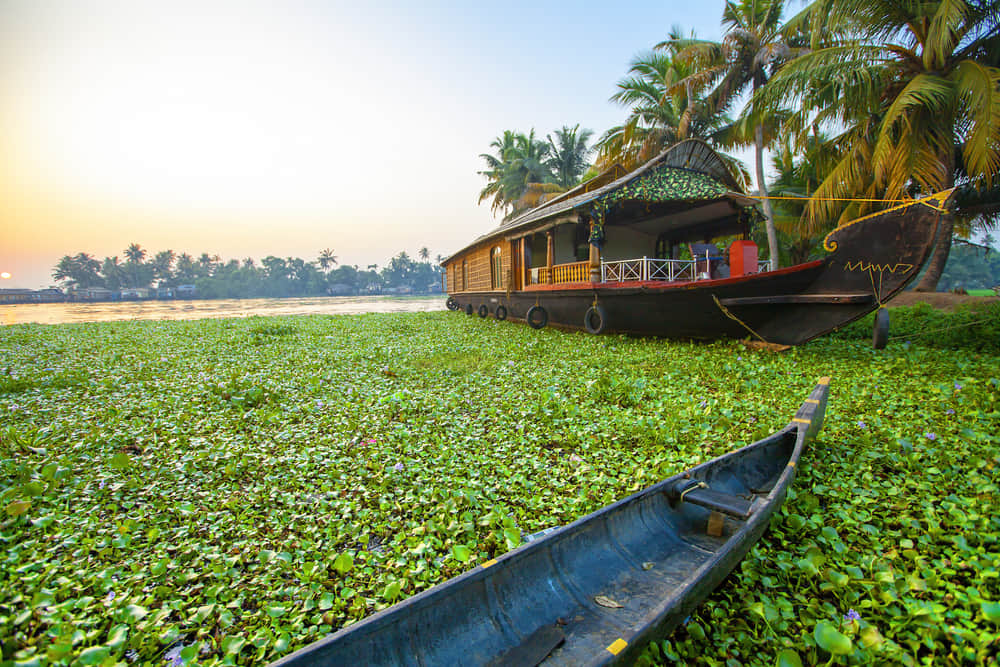 Marari Beach