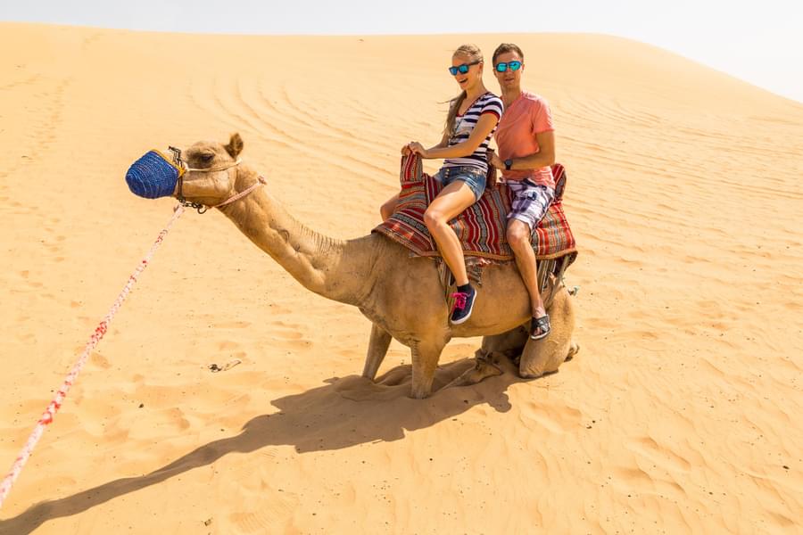 Evening Desert Safari with BBQ Dinner, Camel Ride & Sandboarding