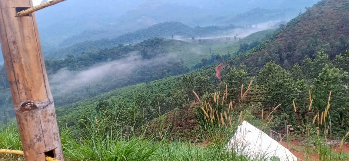 Photo from jomy john's trip