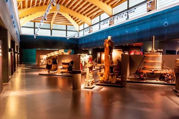 Cellar Exhibition And Aging Process Showcase