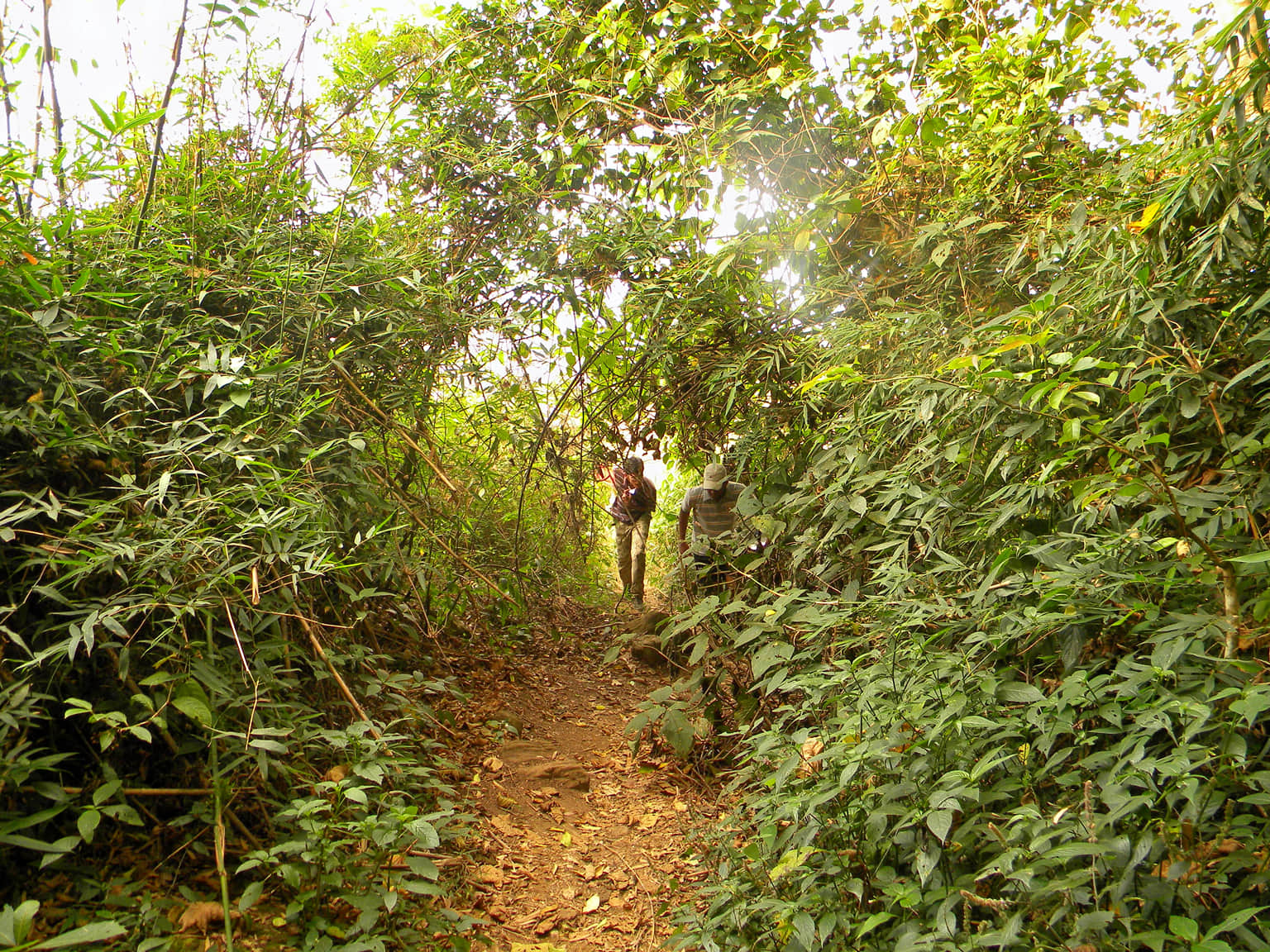 Photo from Jyotis Ganaka's trip