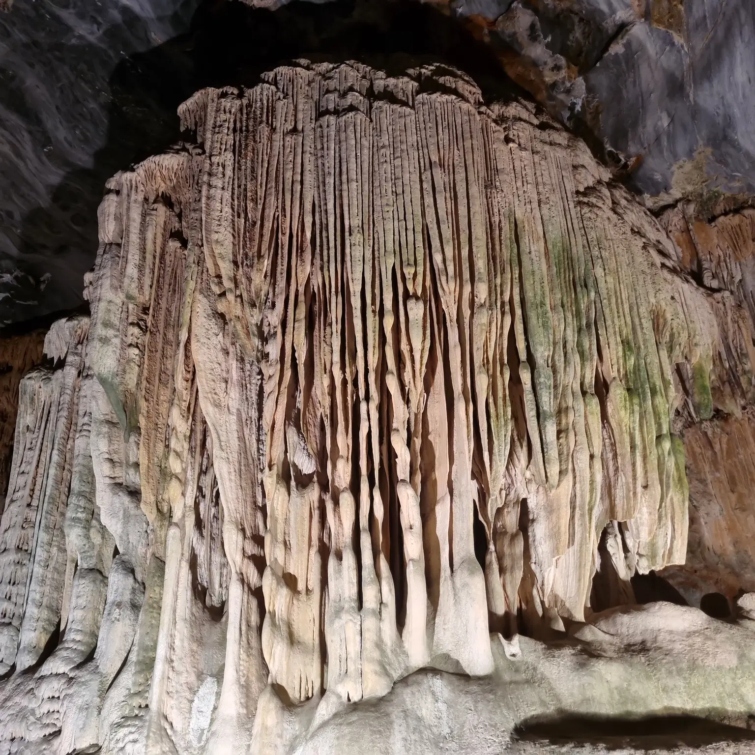Photo from Nalin Bhatia's trip