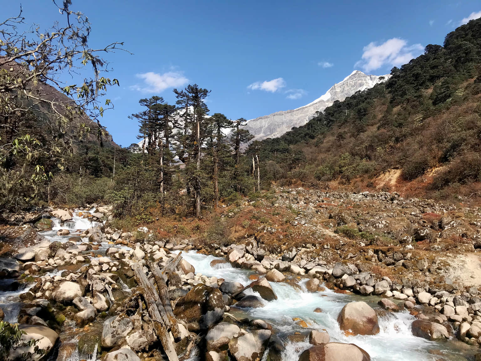 Photo from Rajesh Sharma's trip