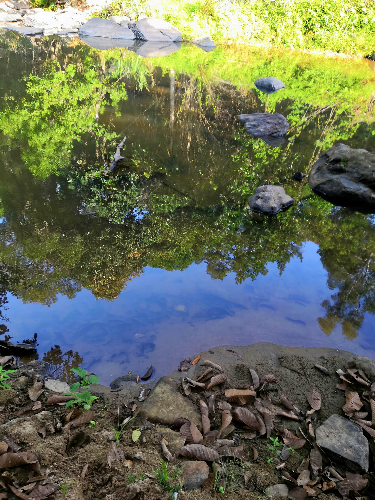 Photo from Abheek Abheek's trip