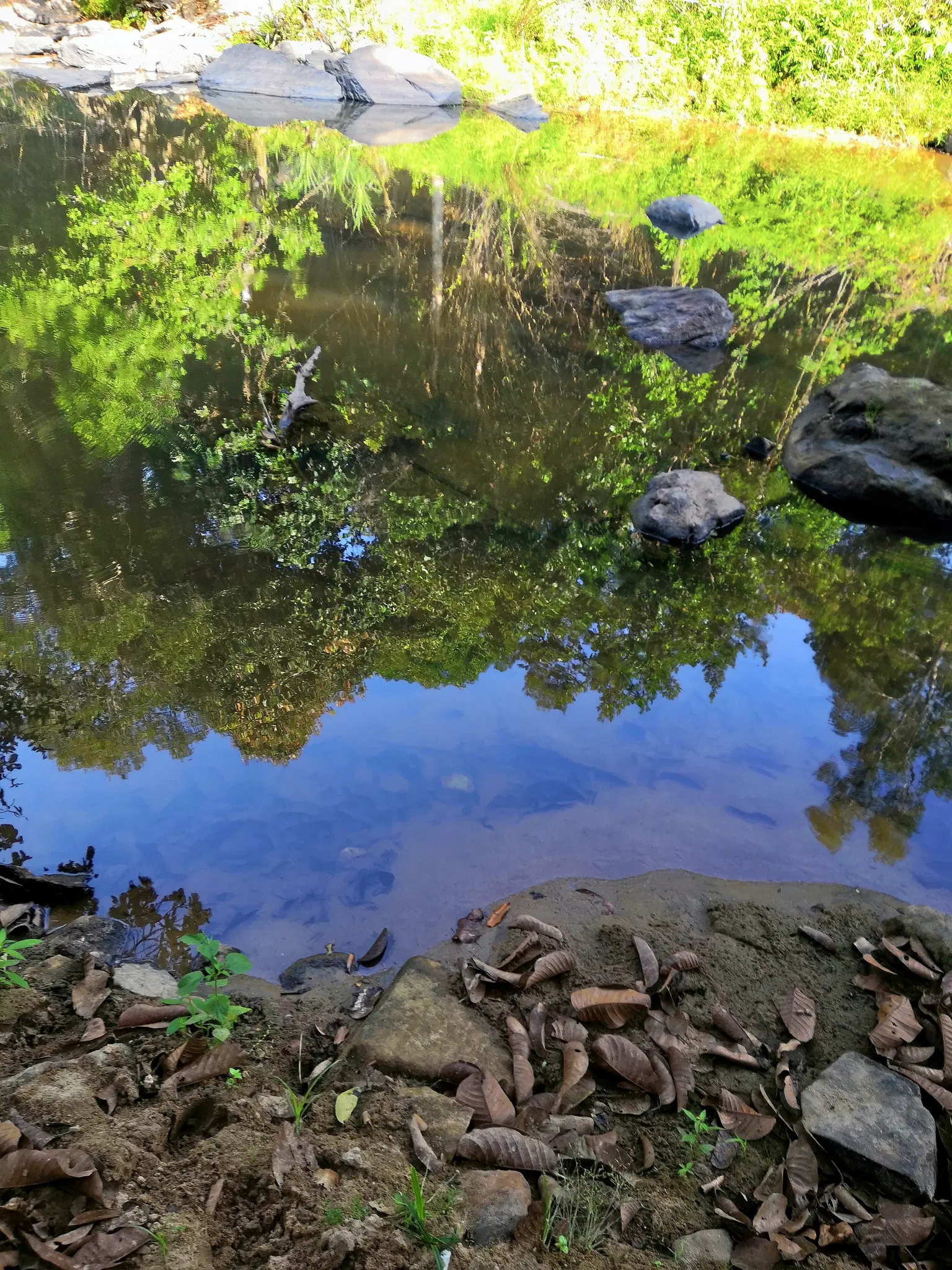 Photo from Abheek Abheek's trip