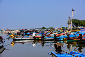 Pulicat Lake Boating