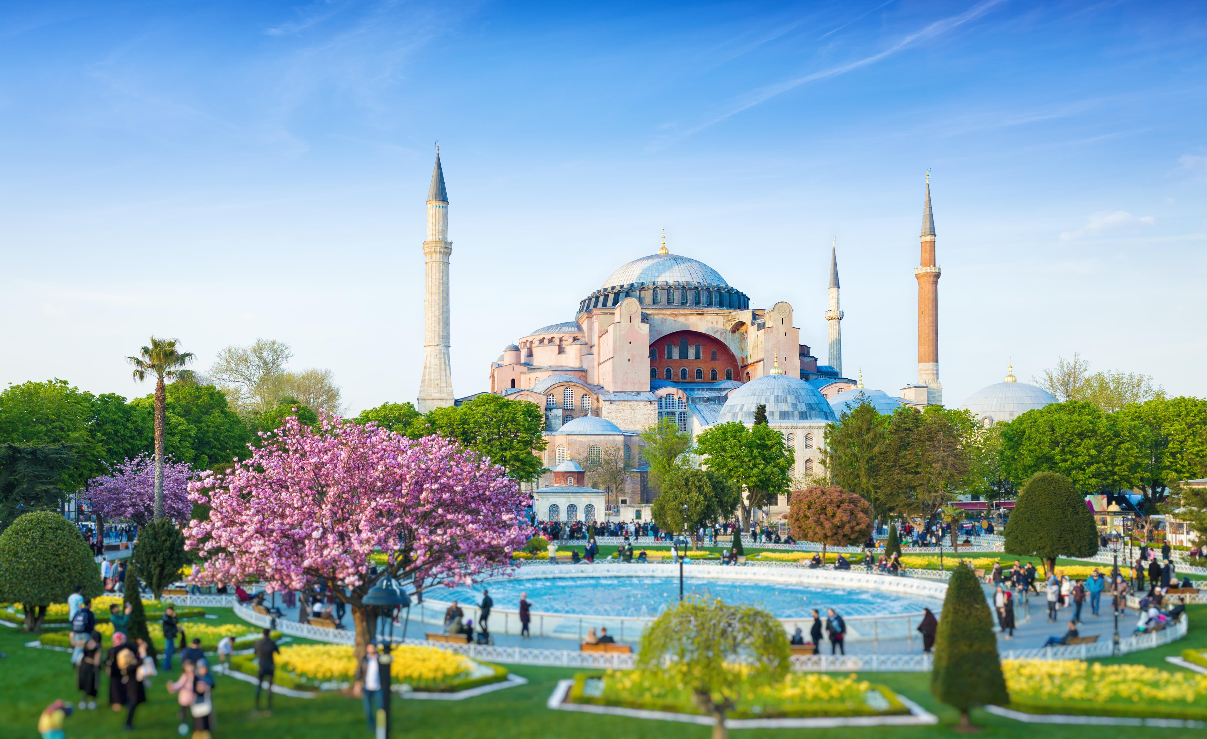 Туры в стамбул в апреле 2024. Султанахмет Стамбул тюльпаны.