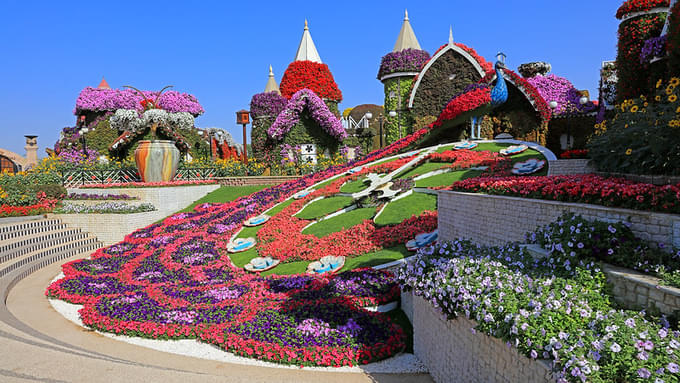 Dubai Miracle Garden