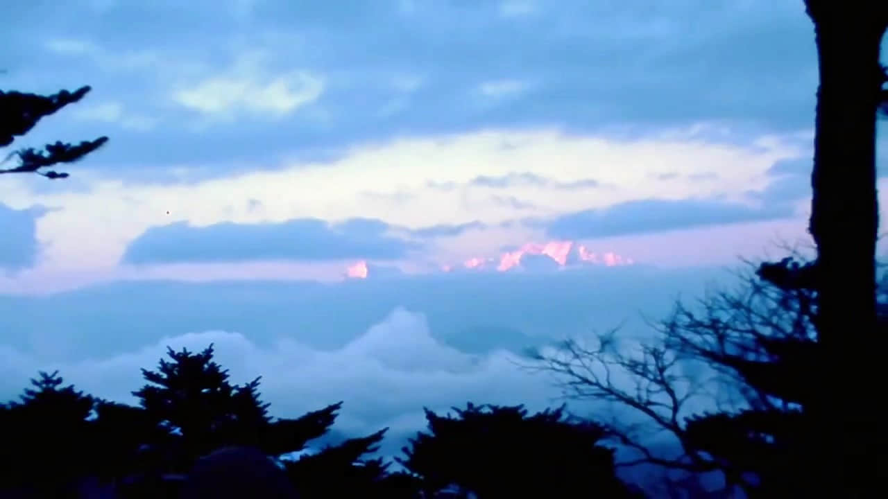 Photo from Suma Kocchar's trip