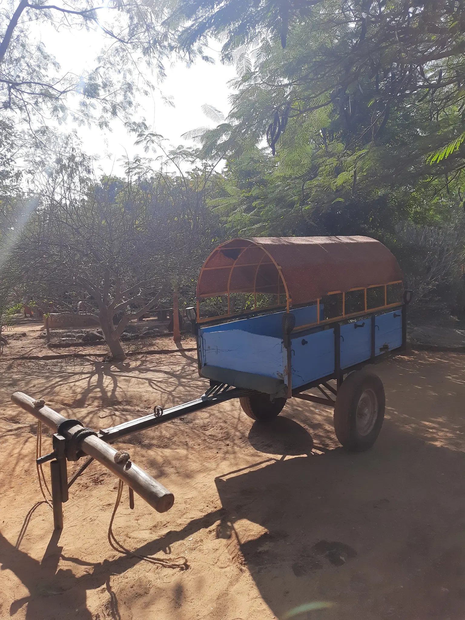 Photo from Sajit M's trip